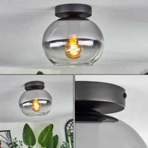 hofstein Plafonnier - Verre Apedo Clair, Fumé, 1 lumière* Lampes Modernes
