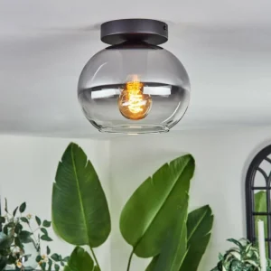 hofstein Plafonnier - Verre Apedo Clair, Fumé, 1 lumière* Lampes Modernes