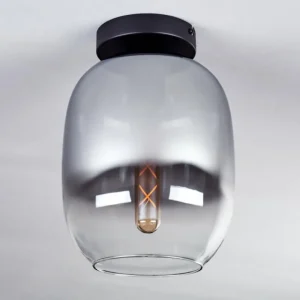 hofstein Plafonnier - Verre Apedo Clair, Fumé, 1 lumière* Lampes Modernes