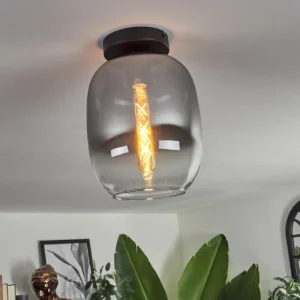 hofstein Plafonnier - Verre Apedo Clair, Fumé, 1 lumière* Lampes Modernes