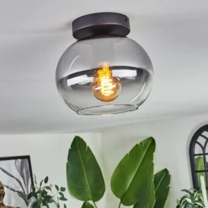 hofstein Plafonnier - Verre Apedo Clair, Fumé, 1 lumière* Lampes Modernes