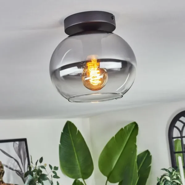 hofstein Plafonnier - Verre Apedo Clair, Fumé, 1 lumière* Lampes Modernes