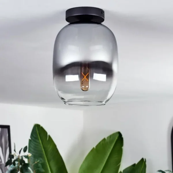 hofstein Plafonnier - Verre Apedo Clair, Fumé, 1 lumière* Lampes Modernes