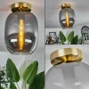 hofstein Plafonnier - Verre Apedo Laiton, 1 lumière* Lampes Modernes