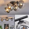 hofstein Plafonnier - Verre Chehalis Clair, Fumé, 4 lumières* Lampes Modernes