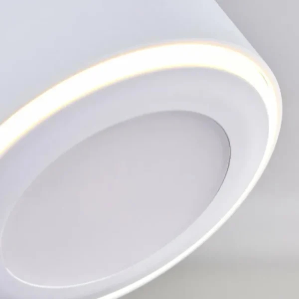hofstein Plafonnier Appleton LED Blanc, 2 lumières* Lampes Modernes