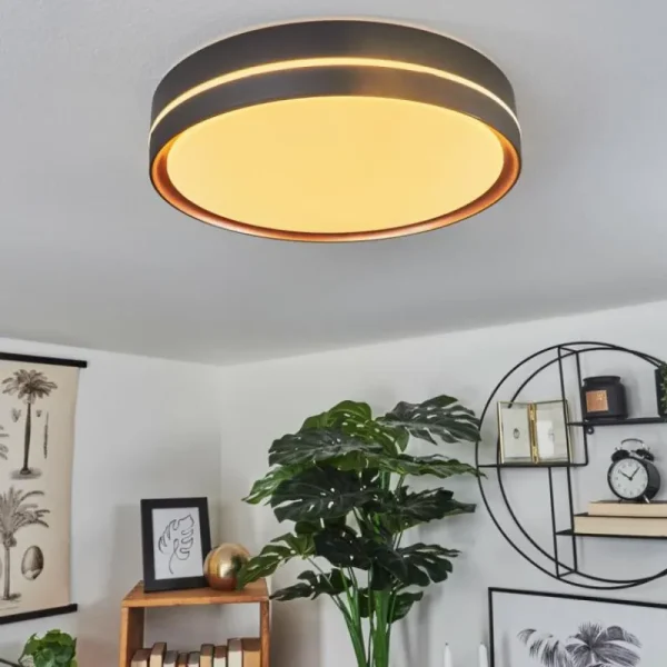 hofstein Plafonnier Cachalot LED Cuivre, Noir, 1 lumière, Télécommandes, Changeur de couleurs* Lampes Modernes