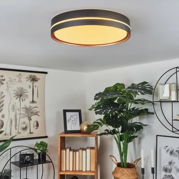 hofstein Plafonnier Cachalot LED Cuivre, Noir, 1 lumière, Télécommandes, Changeur de couleurs* Lampes Modernes