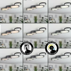 hofstein Plafonnier Carabajal LED Noir, 1 lumière* Lampes Modernes