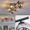 hofstein Plafonnier Chehalis Clair, Fumé, 5 lumières* Lampes Modernes