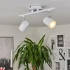 hofstein Plafonnier Chennai LED Chrome, Blanc, 2 lumières* Lampes Modernes