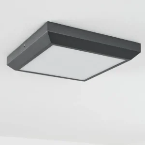 hofstein plafonnier extérieur Alkmaar LED Anthracite, 1 lumière* Lampes Modernes