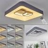 hofstein Plafonnier Gabbiana LED Gris, Blanc, 1 lumière, Télécommandes* Lampes Modernes