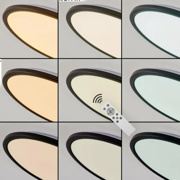 hofstein Plafonnier Hortinhas LED Noir, 1 lumière, Télécommandes, Changeur de couleurs* Lampes Modernes