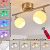 hofstein Plafonnier Motala LED Nickel mat, 2 lumières, Télécommandes, Changeur de couleurs* Lampes En Verre