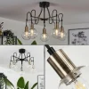 hofstein Plafonnier Quento Laiton, Noir, 5 lumières* Lampes En Verre