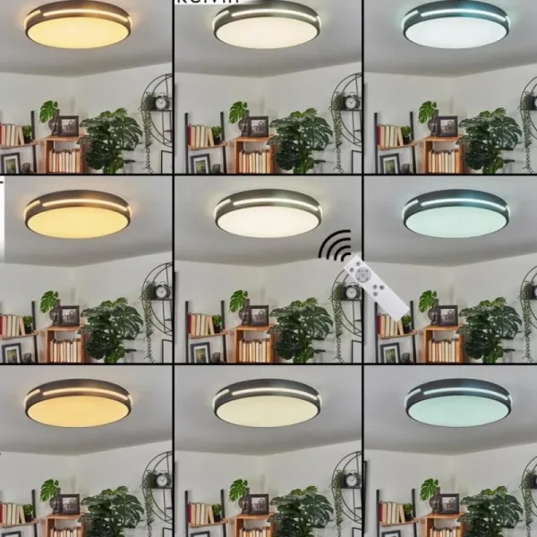 hofstein Plafonnier Seewen LED Noir, Blanc, 1 lumière, Télécommandes* Lampes Modernes