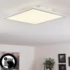 hofstein Plafonnier Sordos LED Blanc, 1 lumière, Détecteur de mouvement* Lampes Modernes