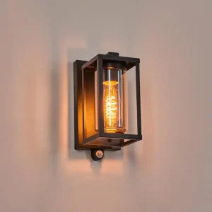 hofstein Portalis Lampe murale d´extérieur Noir, 1 lumière, Détecteur de mouvement* Lampes Modernes