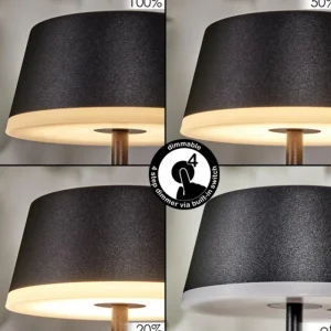 hofstein Romdrup Lampe de table d'extérieur, Lampe à poser LED Noir, 1 lumière* Lampes Modernes