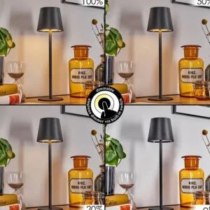 hofstein Salgadinho Lampe à poser LED Noir, 1 lumière* Lampes Modernes