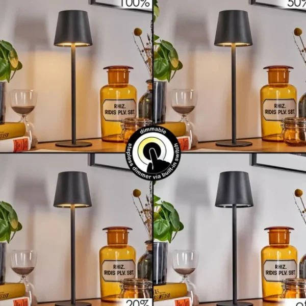 hofstein Salgadinho Lampe à poser LED Noir, 1 lumière* Lampes Modernes