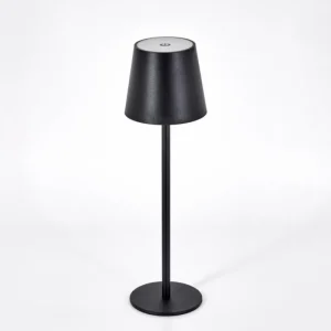 hofstein Salgadinho Lampe à poser LED Noir, 1 lumière* Lampes Modernes