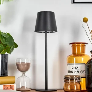 hofstein Salgadinho Lampe à poser LED Noir, 1 lumière* Lampes Modernes