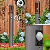 hofstein Sessa Eclairage de chemin Anthracite, 1 lumière, Détecteur de mouvement* Lampes Modernes
