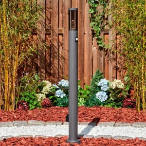 hofstein Sessa Lampe à prise électrique, Eclairage de chemin Anthracite, 1 lumière, Détecteur de mouvement* Lampes Modernes