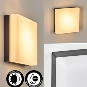 hofstein Sneslev Lampe murale d´extérieur, Applique murale Noir, 1 lumière* Lampes Modernes