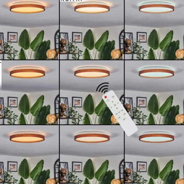 hofstein Sofo Plafonnier, Panel LED Blanc, 1 lumière, Télécommandes* Lampes Modernes