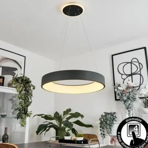 hofstein Suspension Areja LED Anthracite, Blanc, 1 lumière* Lampes Modernes