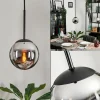 hofstein Suspension - Verre Gastor Chrome, Fumé, 1 lumière* Lampes Modernes
