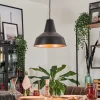 hofstein Suspension Aigle Noir, 1 lumière* Lampes Modernes