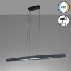 Luminaires Fischer & Honsel Suspension Fischer & Honsel Fenga LED Noir, 1 lumière* Lampes En Verre