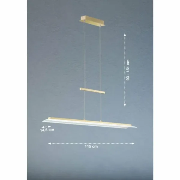 Luminaires Fischer & Honsel Suspension Fischer & Honsel ROOF LED Laiton, 1 lumière* Lampes En Verre