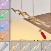 hofstein Suspension Gamsen LED Acier brossé, 3 lumières, Télécommandes, Changeur de couleurs* Lampes Modernes