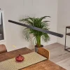hofstein Suspension Mattawan LED Noir, 1 lumière* Lampes Modernes