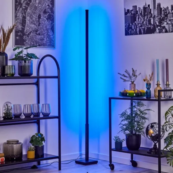 hofstein Uglestrup Lampadaire LED Noir, 1 lumière, Télécommandes, Changeur de couleurs* Lampes Modernes