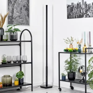 hofstein Uglestrup Lampadaire LED Noir, 1 lumière, Télécommandes, Changeur de couleurs* Lampes Modernes